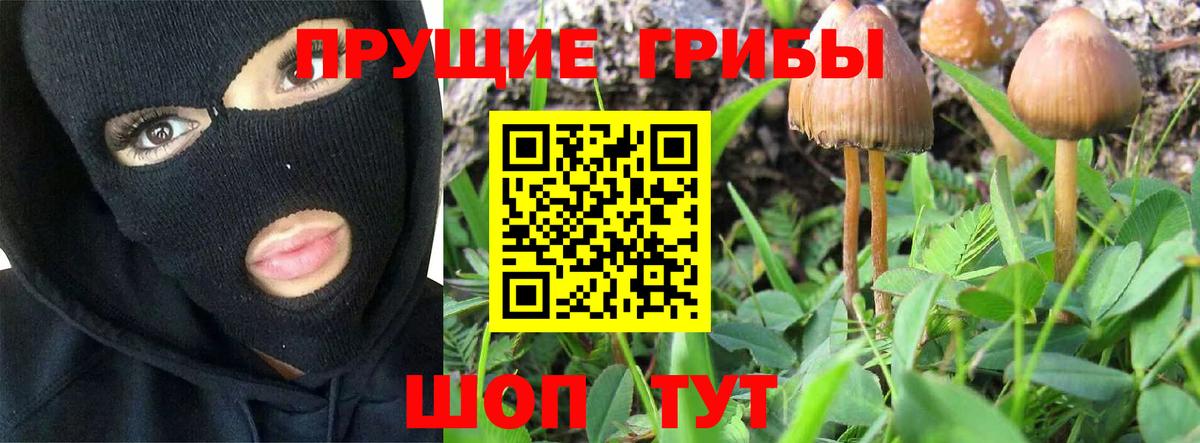 Галлюциногенные грибы MAGIC MUSHROOMS  Псилоцибиновые грибы Cubensis  Абинск  Вход с VPN 